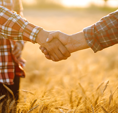 Industry Partners_wheatfield_shaking hands